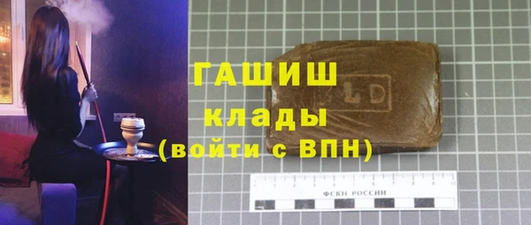 индика Надым