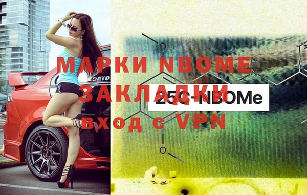 индика Надым