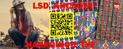 стаф Донской