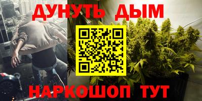 стаф Донской