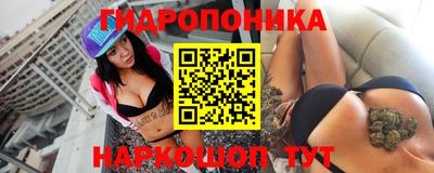 стаф Донской