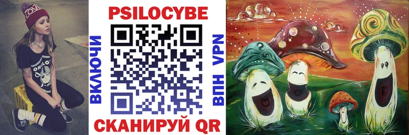 Псилоцибиновые грибы Cubensis  Магнитогорск 