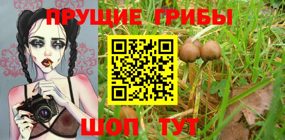 Псилоцибиновые грибы мухоморы  Вход с VPN  Псилоцибиновые грибы Psilocybe  Магнитогорск 